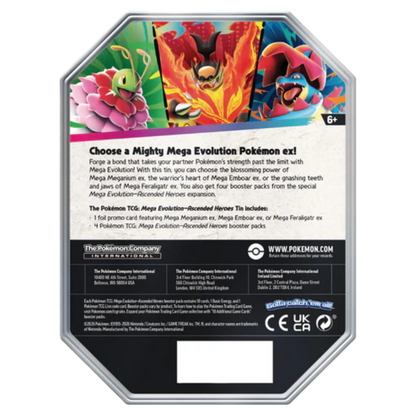 Mega Evolution – Ascended Heroes Mega Meganium ex Tin (ENG)