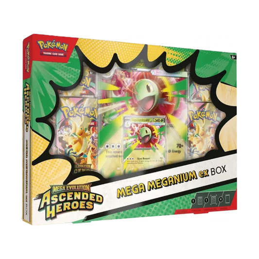 Ascended Heroes – Mega Meganium ex Collection Box (ENG)